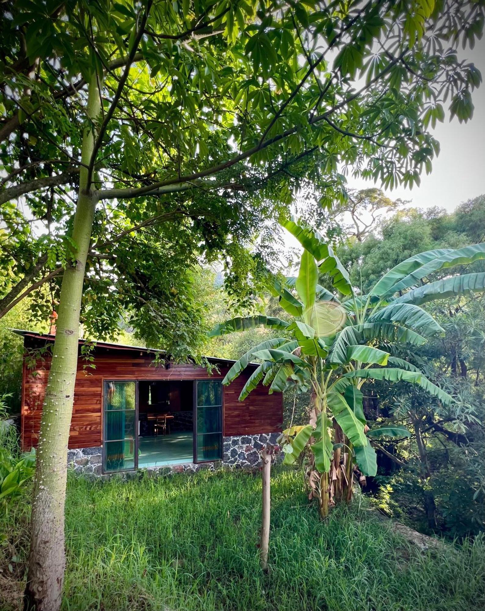 Santuario Ave Fenix Tepoztlán Exterior foto
